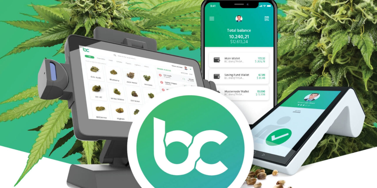 BitCanna lanza el Programa GROW: Impulsando la Innovación